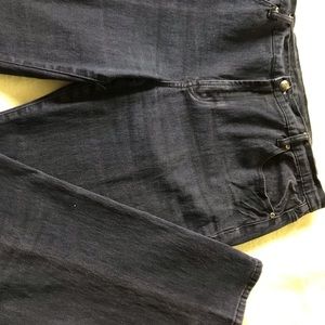 Diane Gilman purple stretch Jean